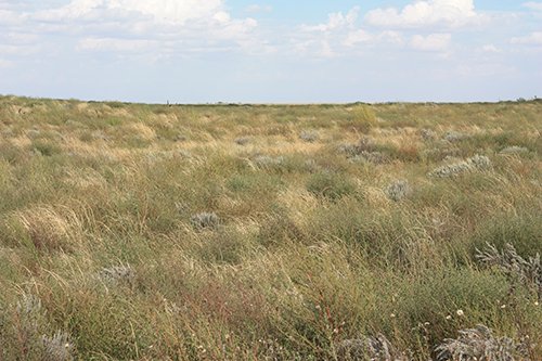 Property photo 111 - LAND AUCTION, 3255+/- Acres offered in 13 Tracts